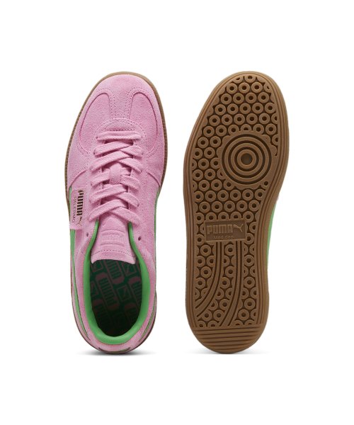 팔레르모 스페셜 - 핑크:그린:검 / 397549-01