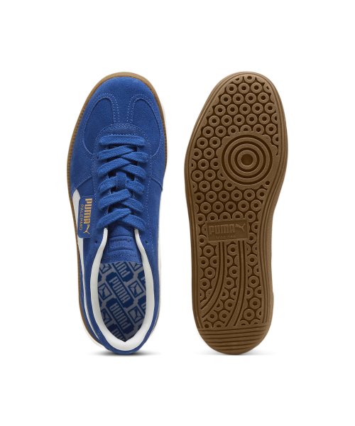 팔레르모 - 코발트블루:화이트 / 396463-07