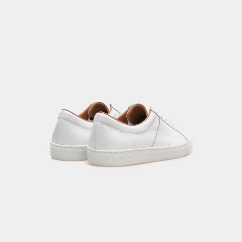 ALC051 Cambridge Sneakers White